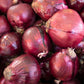 250 RED CREOLE ONION Spicy Cajun Short Day Allium Cepa Vegetable Seeds