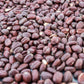 5 JOJOBA Simmondsia Chinensis Fruit Nut Oil Evergreen Shrub Seeds