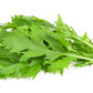 1000 GREEN MIZUNA MUSTARD Japanese Greens Brassica Juncea Herb Vegetable Seeds