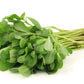 300 Organic GOLDEN PURSLANE Portulaca Sativa Vegetable Herb Yellow Flower Seeds
