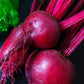 250 DETROIT Dark RED BEET Heirloom Beta Vulgaris Vegetable Seeds