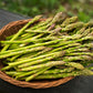 125 ASPARAGUS UC72 Officinallis Mary's Granddaughter Vegetable Seeds