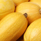 50 VEGETABLE SPAGHETTI SQUASH Winter Cucurbita Pepo Seeds