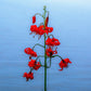10 CORAL LILY Siberian Turk's Cap Lilium Pumilum Coral Red Fragrant Flower Seeds