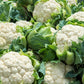 250 SNOWBALL SELFBLANCHING CAULIFLOWER White Brassica Oleracea Vegetable Seeds