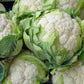 250 SNOWBALL CAULIFLOWER Brassica Oleracea Botrytis Vegetable Seeds