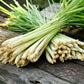 100 LEMONGRASS East Indian Lemon Grass Fragrant Ornamental Edible Cymbopogon Flexuosus Seeds