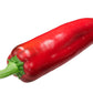 60 RED MARCONI PEPPER Rossa Large Sweet Italian Frying Capsicum Annuum Seeds