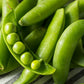 50 SUGAR ANN PEA Stringless Sweet Green Snap Pisum Sativum Vegetable Seeds