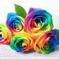 Make Your Own - 5 RAINBOW ROSE BUSH Seeds Shrub Rosa Flower