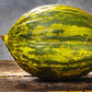 50 PIEL de SAPO MELON Santa Claus Christmas Melon Green Yellow Cucumis Melo Fruit Seeds