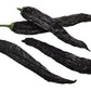 50 PASILLA BAJIO PEPPER Mexican Chilaca Chile Negro Capsicum Annuum Vegetable Seeds