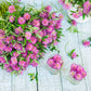 1500 RED CLOVER Monarchs Trifolium Pratense Rose Mauve Flower Ground Cover Seeds