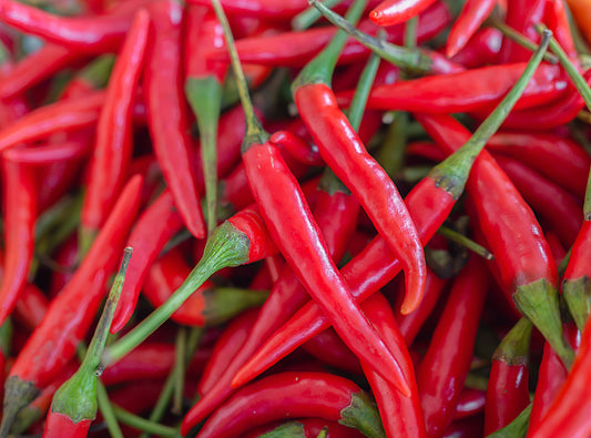 300 LONG Red CAYENNE PEPPER Hot Capsicum Annuum Vegetable Seeds