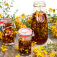 1500 Great SAINT JOHNS WORT St John's Hypericum Pyramidatum Yellow Flower Herb Seeds