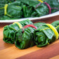 150 RAINBOW MIX SWISS CHARD Mixed Colors Beta Vulgaris Vegetable Seeds