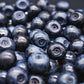 20 Common BILBERRY Fruit Shrub European Blueberry Vaccinium Myrtillus Seeds