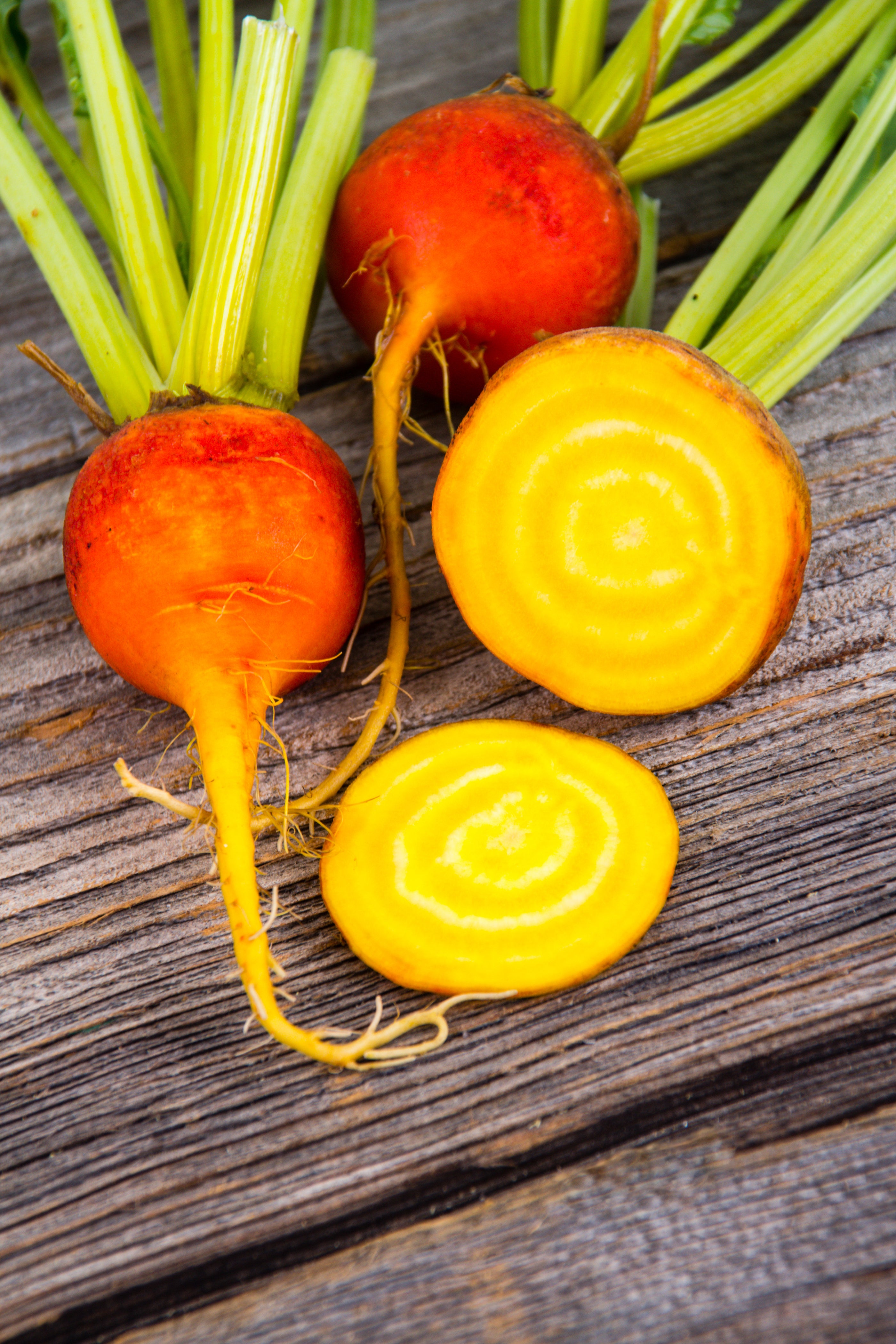 30 BURPEE'S GOLDEN BEET Beta Vulgaris Yellow Root Vegetable Seeds ...