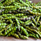 30 PIGEON PEA Dhal Gungo Puerto Rico Bean Cajanus Cajan Vegetable Seeds