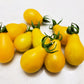 300 YELLOW PEAR TOMATO Lycopersicon Lycopersicum Fruit Vegetable Seeds