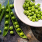 50 Early FROSTY GARDEN PEA English Shelling Pisum Sativum Vegetable Seeds