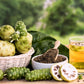 20 NONI Cheese Fruit Great Morinda Citrifolia Indian Beach Mulberry Shrub Tree Seeds
