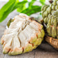 15 SUGAR APPLE Sweetsop Custard Apple Annona Squamosa Sweet Delicious Edible Fruit Tree Seeds
