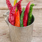 100 MIXED CAYENNE PEPPER Hot Yellow Purple Orange Red Green Capsicum Vegetable Seeds