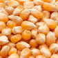150 LADY FINGERS POPCORN Corn Zea Mays White Yellow Vegetable Seeds