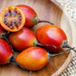 10 TAMARILLO / TREE TOMATO Cyphomandra Betacea Solanum Fruit Tree Seeds