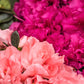 50 MIXED HYBRIDS RHODODENDRON spp. Mixed Colors - Red, Pink, Purple, White, Yellow, Orange Flower Sun or Shade Bush Shrub Seeds