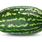 20 CAL SWEET Supreme WATERMELON Red Citrullus Lanatus 30 lb Melon Fruit Seeds