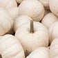 5 WHITE CASPER PUMPKIN White Skin Orange Flesh Cucurbita Maxima Vegetable Seeds