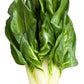 250 BARESE SWISS CHARD White Rib Perpetual Spinach Beta Vulgaris Vegetable Seeds