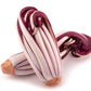 100 RADICCHIO DI TREVISO Radicchio Rose Vegetable Seeds