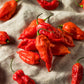 20 GHOST PEPPER SEEDS Blazing Hot Naga Bhut Jolokia Cobra Chili Vegetable Seeds