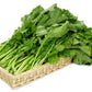 1500 SEVEN TOP TURNIP For Leaf Greens & Sprouts Brassica Rapa Vegetable Seeds