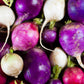 500 Mixed Colors EASTER EGG RADISH Raphanus Sativus Vegetable Seeds
