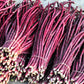 25 RED NOODLE BEAN Yard Long Asparagus Bean Chinese Phaseolus Vulgaris Legume Vegetable Seeds