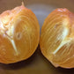 10 ITALIAN PERSIMMON TREE Dateplum Date Plum Fruit Diospyros Lotus Seeds