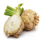 500 GIANT PRAGUE CELERIAC Apium Graveolens Celery Root Vegetable Seeds