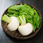 3000 SHOGOIN TURNIP White Japanese Brassica Rapa Root & Greens Vegetable Seeds