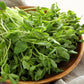50 Super SUGAR SNAP PEA Pisum Sativum Macrocarpon Vegetable Seeds