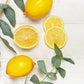 50 LEMON SCENTED EUCALYPTUS Citriodora Tree aka Lemon Bush & Spotted Gum - Colorful Bark White Flower Tree Seeds