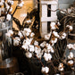 25 WHITE COTTON Gossypium Hirsutum Plant Seeds