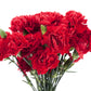 50 SCARLET RED CARNATION Dianthus Caryophyllus Grenadin Double Flower Seeds
