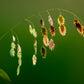 100 NORTHERN SEA OATS Grass Inland Chasmanthium Seeds