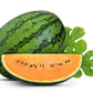 50 TENDERSWEET ORANGE WATERMELON Orange Flesh Citrullus Lanatus Fruit Melon Seeds