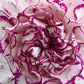 50 PICOTEE MIX CARNATION Dianthus Caryophyllus Double Bicolor Striped Flower Seeds