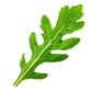 2000 ARUGULA Eruca Vesicaria Sativa Greens Vegetable Seeds